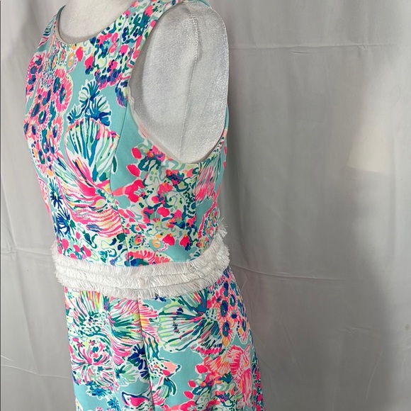 Lilly Pulitzer Arden Etuikleid Mini Serene Blau Gypsea Fransen Size M - Picture 7 of 10